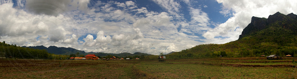 Village Rice Fields